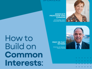 DPI Online Assessment Meeting, How to Build on Common Interests: Current Situation in Turkey and Opportunities for Conflict Resolution, 25 September 2023, Speakers: Professor Dr Fuat Keyman and Associate Professor Esra Çuhadar