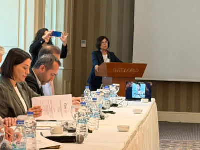 Dr Sevtap Yokus  Speaking at the Meeting 
